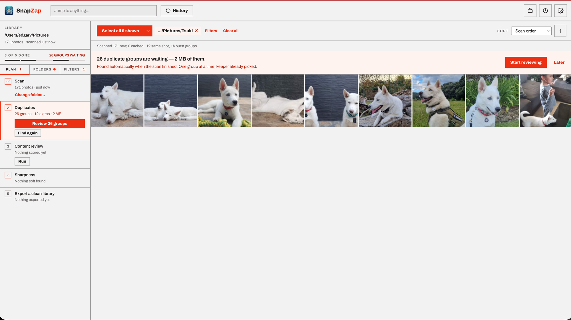 The Plan tab: a pipeline strip (Scan, Duplicates, Content review, Sharpness, Export) above the grid, with a duplicate-review banner and an active folder filter chip