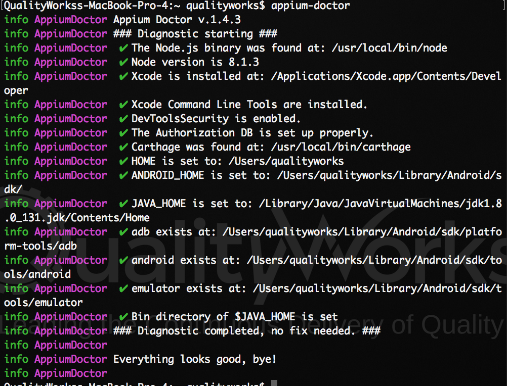 Appium Doctor Screenshot