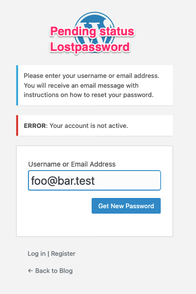 Lost Password Screen