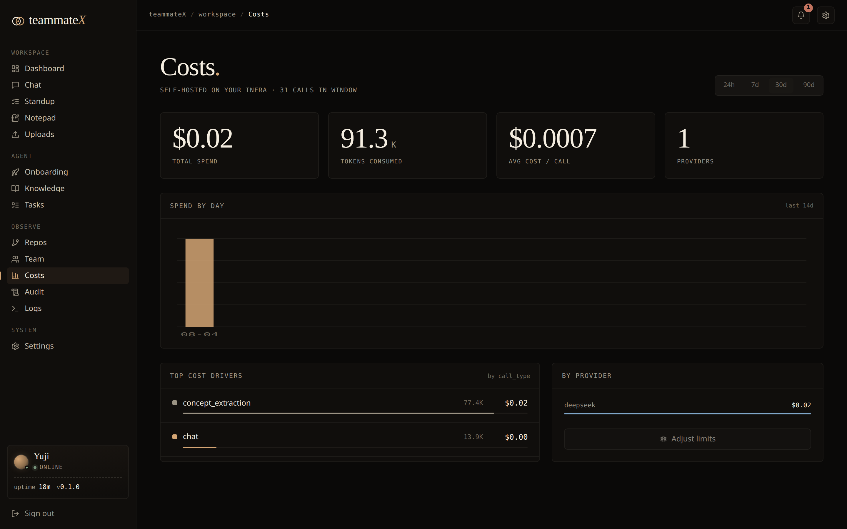 Costs: total spend, tokens, spend-by-day, top cost drivers, and by-provider breakdown