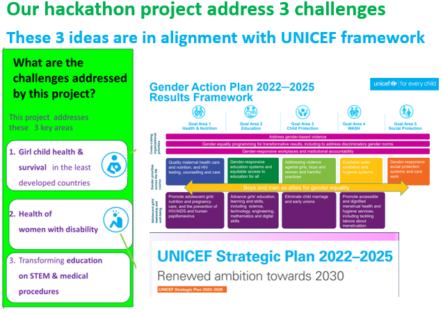 What are the issues addressed by this project