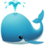 whale