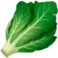 leafy_green