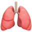 lungs