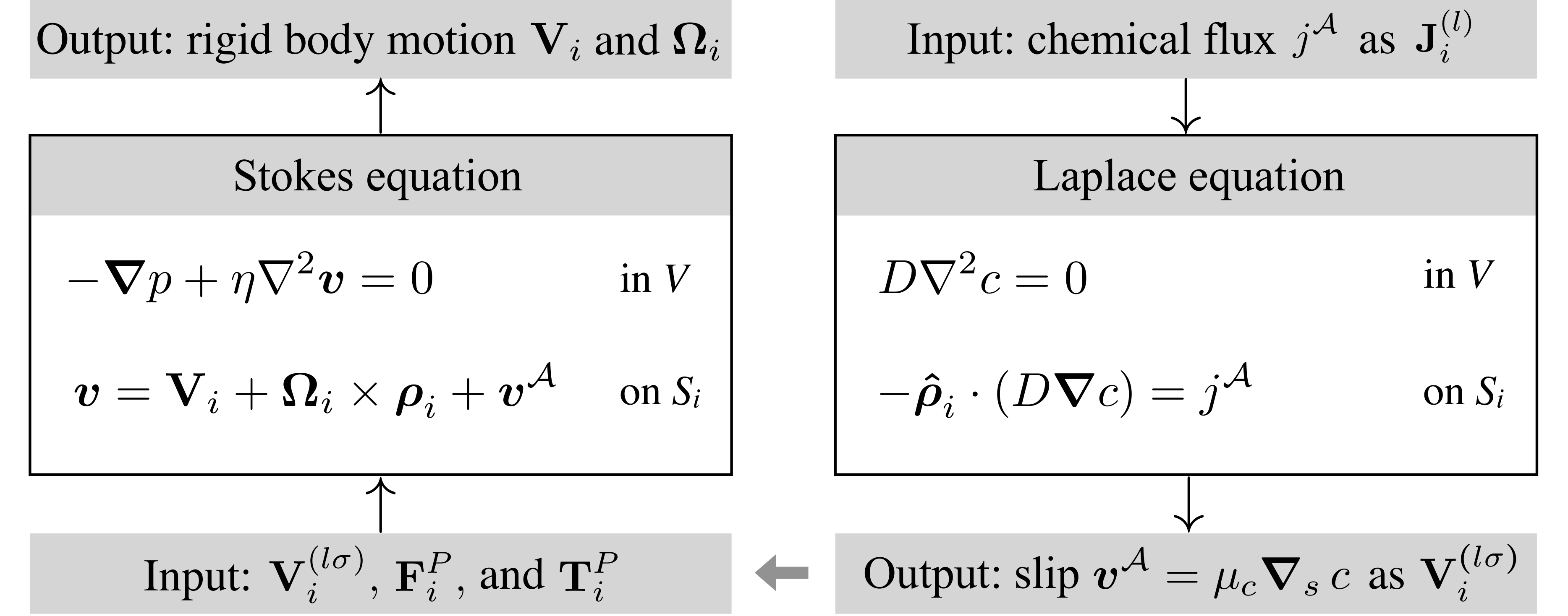 Input and output structure of PyStokes to determine the hydrodynamic and phoretic interactions between active particles in a three-dimensional domain $V$. The equations are coupled by active boundary conditions on the surface $S_{i}$ of the particles. Particle indices are $i=1,\ldots,N$ and harmonic indices are $l=1,2,\ldots$ and $\sigma=s,a,t$ (see text). \label{fig:figS}