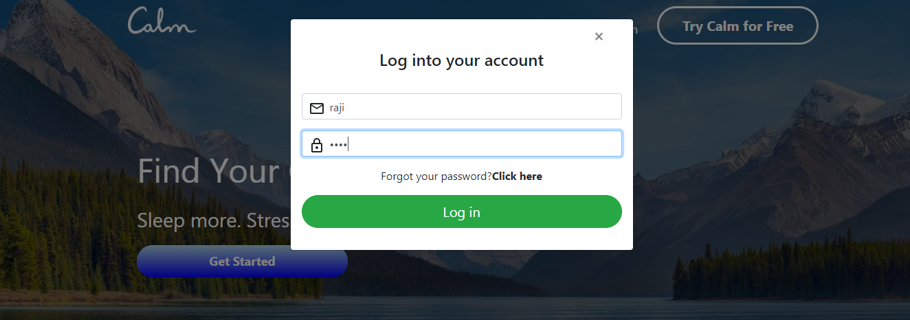 Login-Page