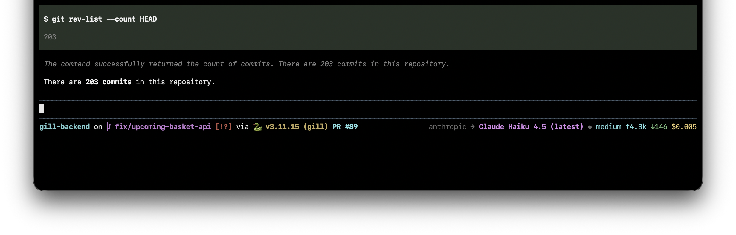 pi-starship screenshot 1