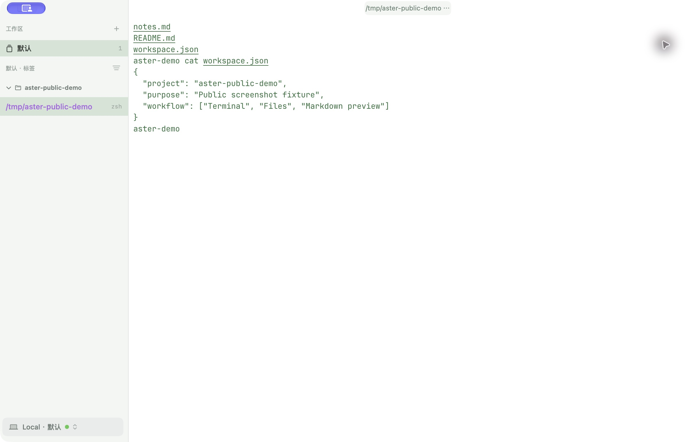 Aster screenshot 2