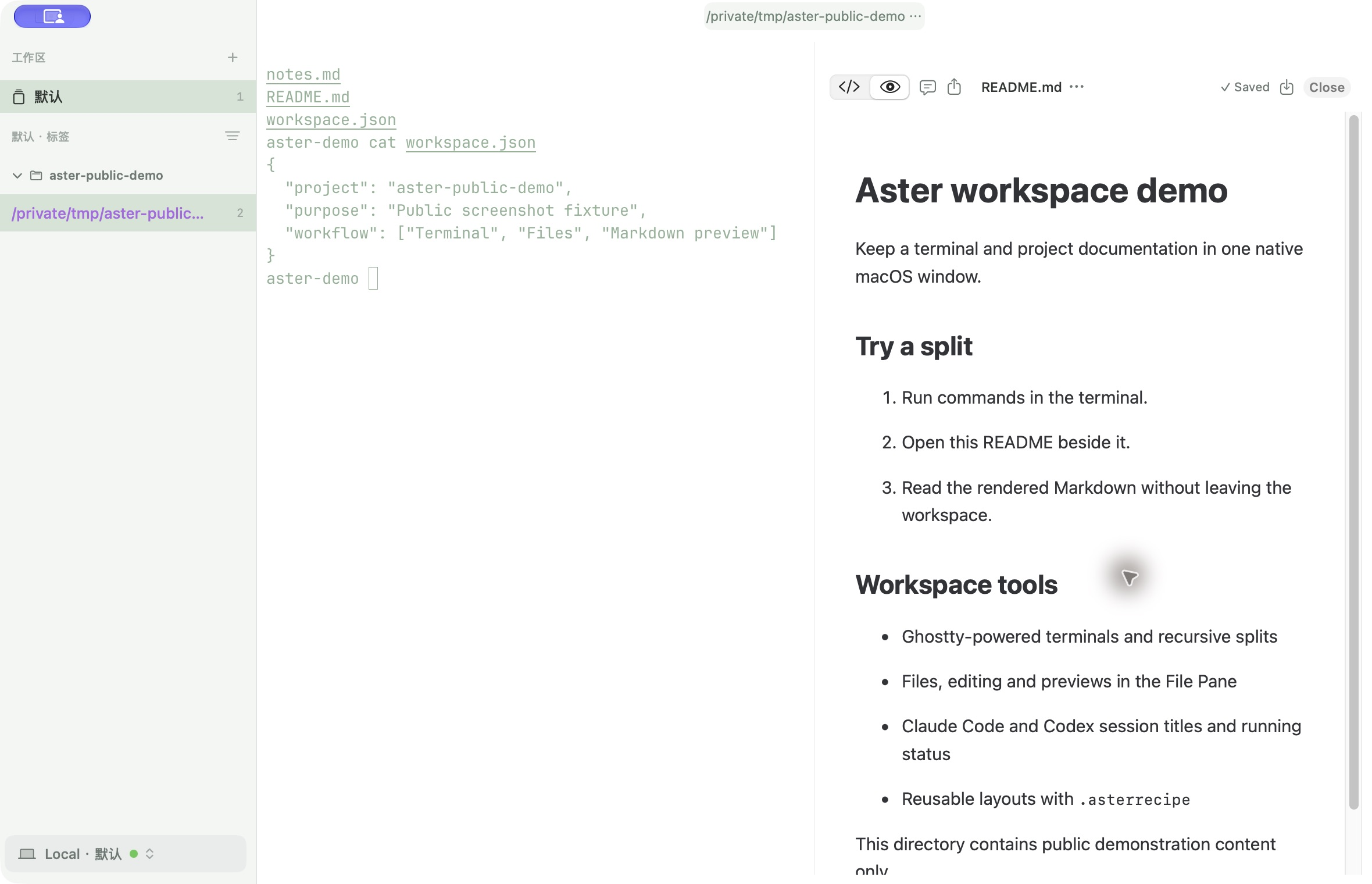 Aster screenshot 1