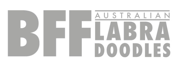 Doodles de Familia Logo