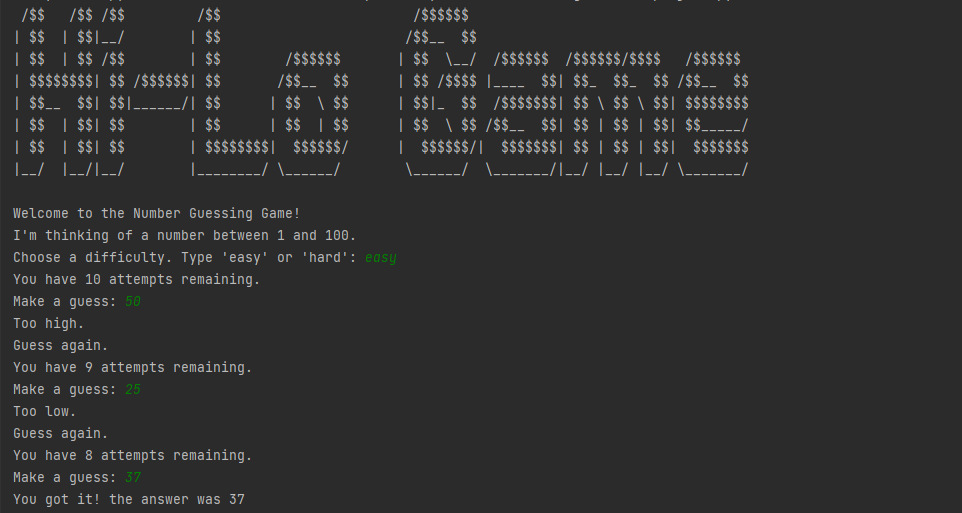 Guess the Number Output