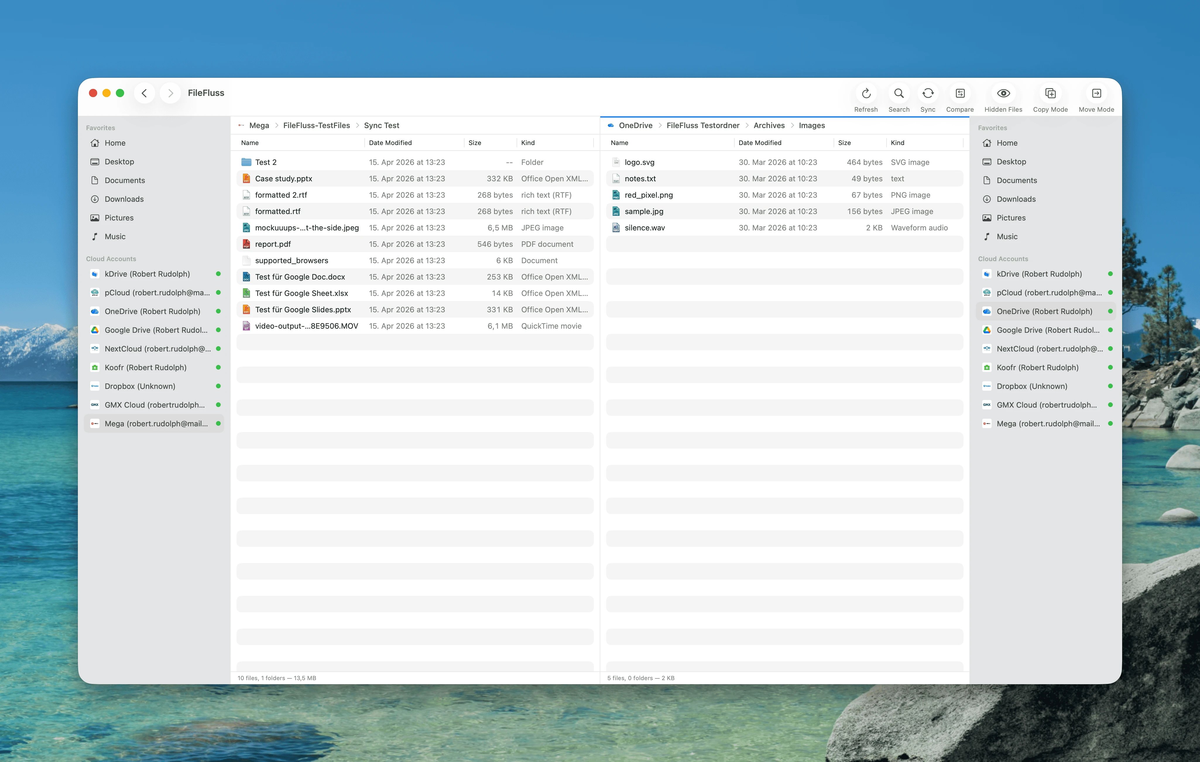 FileFluss — скриншот 1