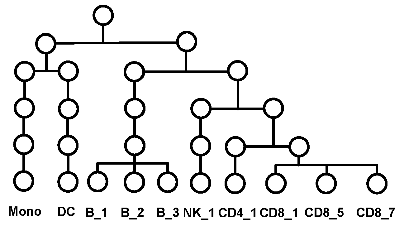 Hierarchical tree constructed from cell lineage relationship and used to guide HiDecon.