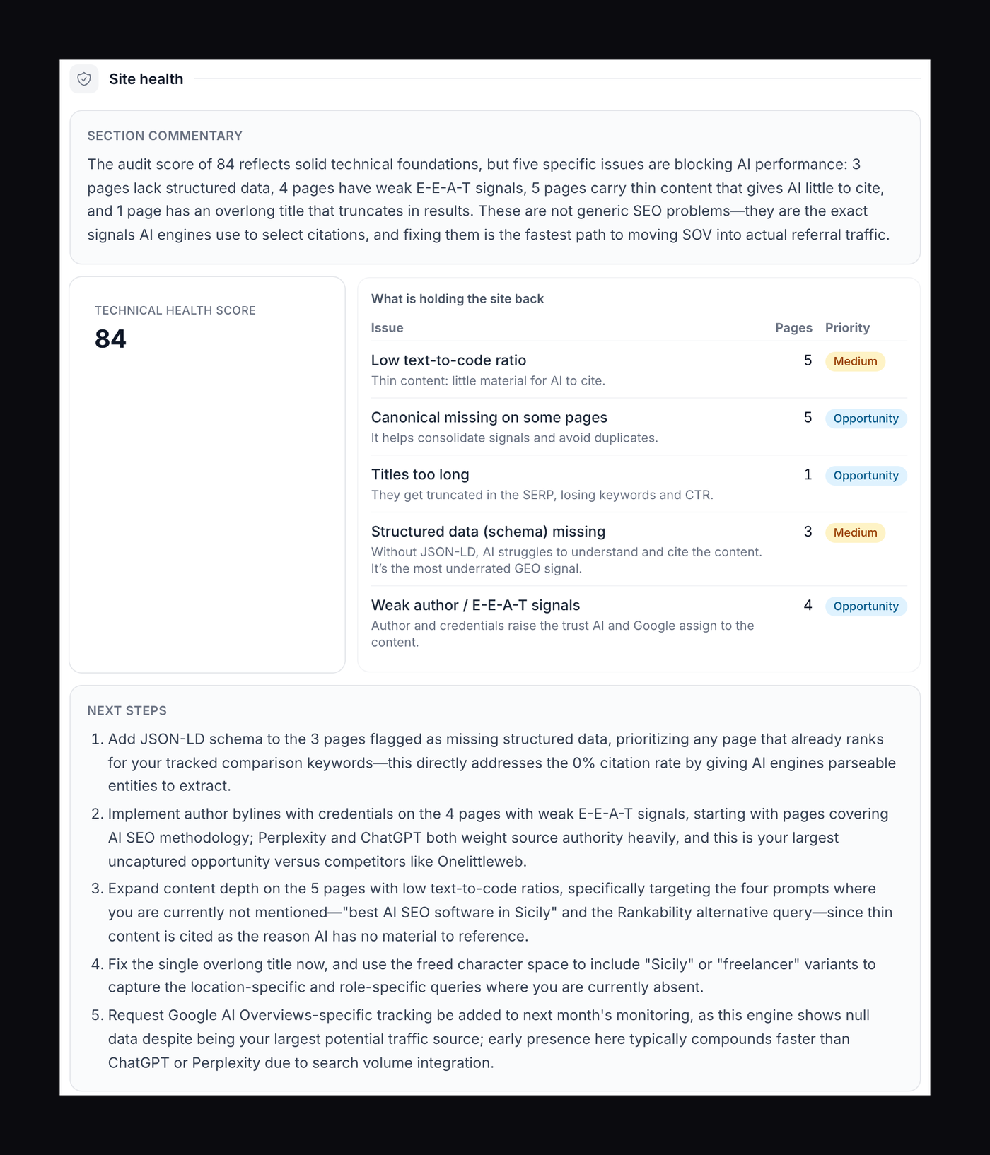 Technical health score, issues holding the site back, next steps