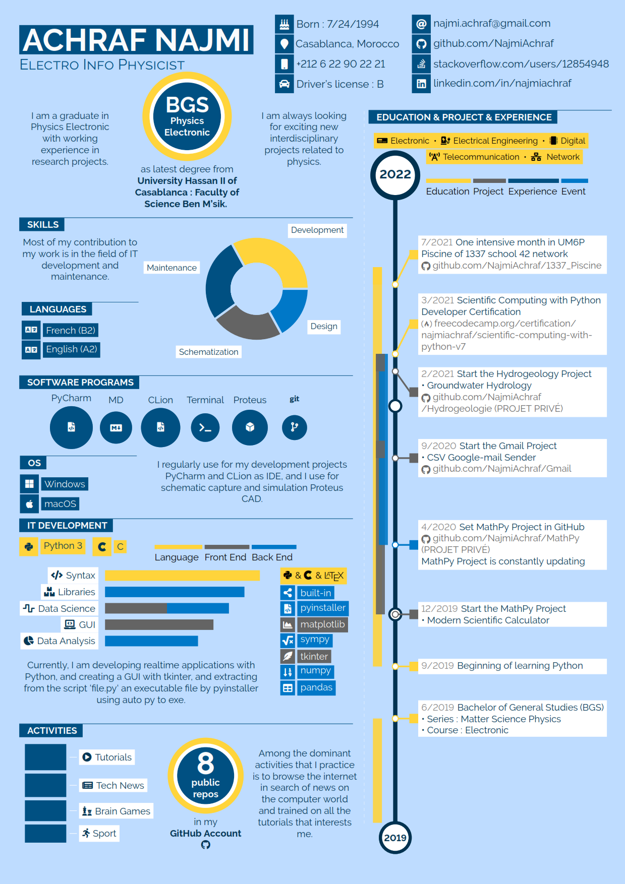 Infographics CV example preview