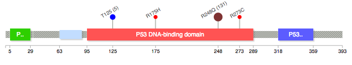 TP53 Lollipop diagram with 5 customized mutations