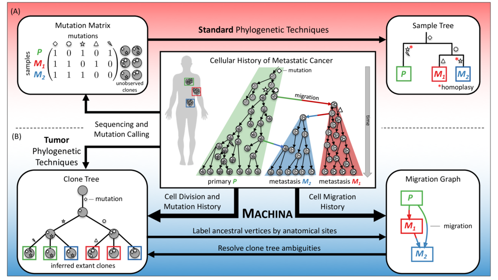 Overview of MACHINA