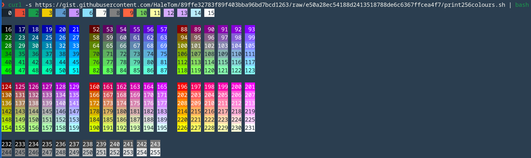 alacritty Example