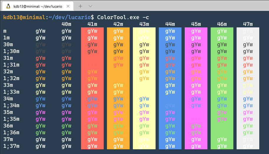 Windows Terminal Example