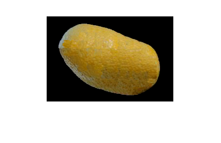 potato-orange.png