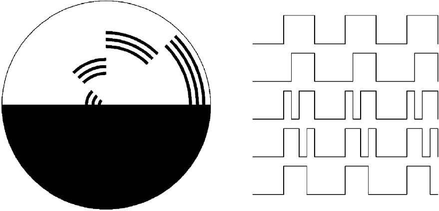 Benham’s disk with the light-intensity distribution as a function of time