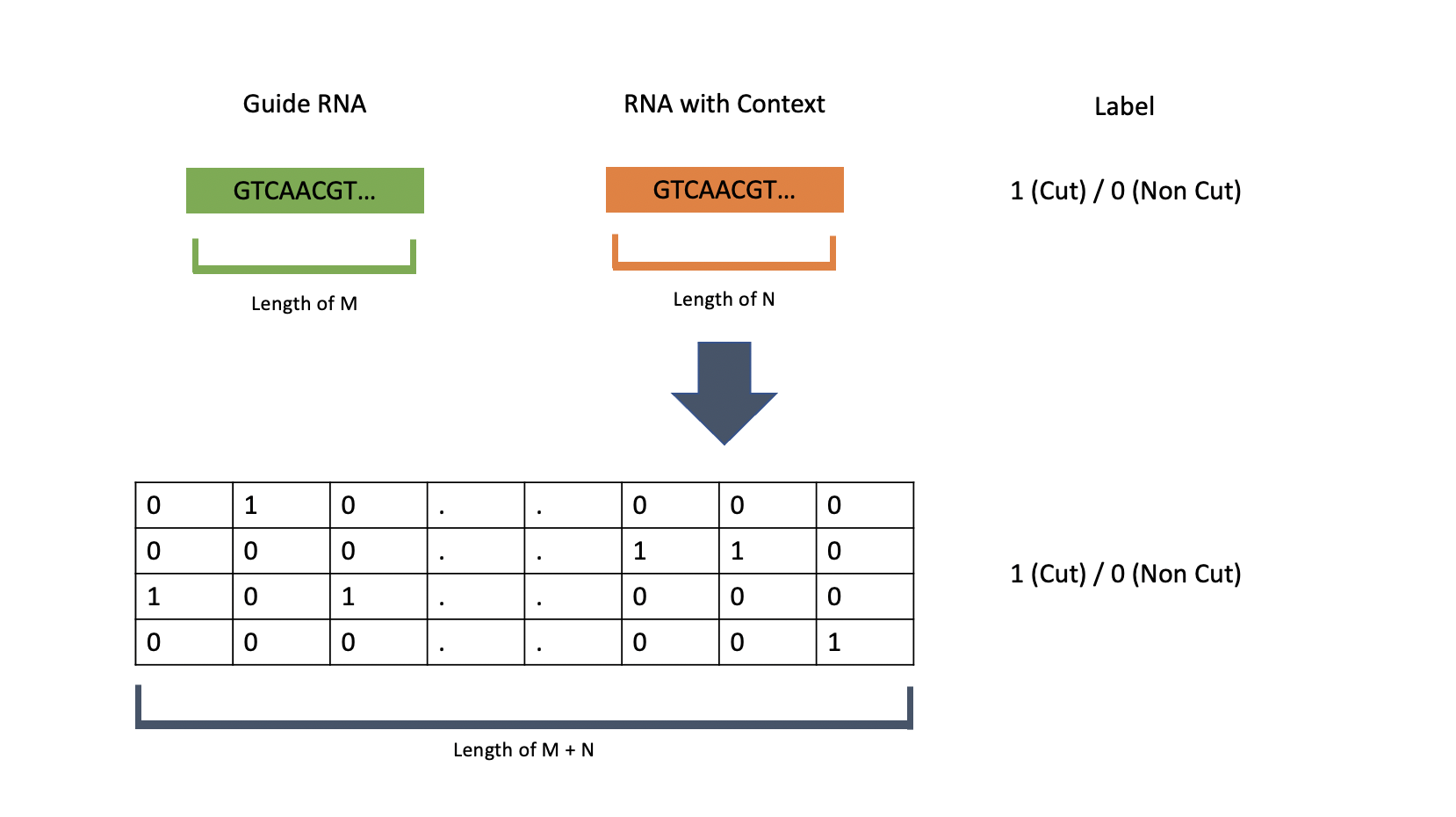 Fig1