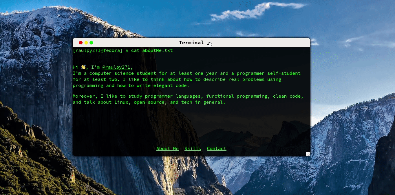 Terminal in browser