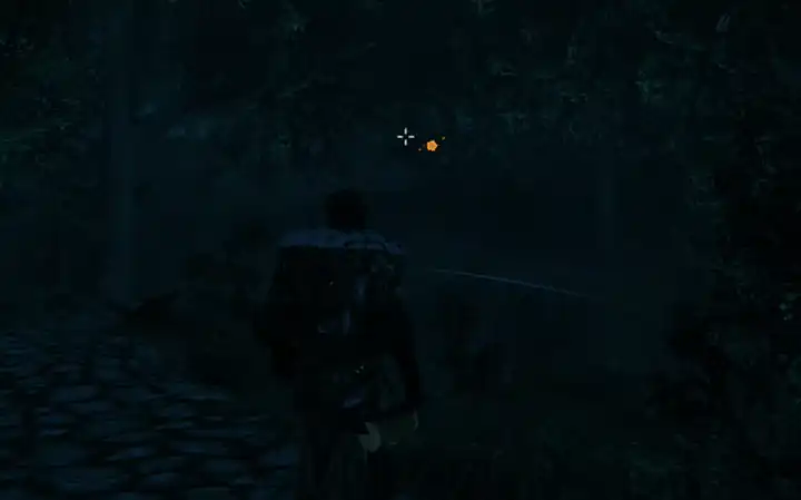 Odin's Beacon: a friend's mark seen through the forest