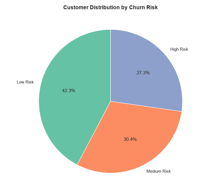 Customer Churn Risk Overview