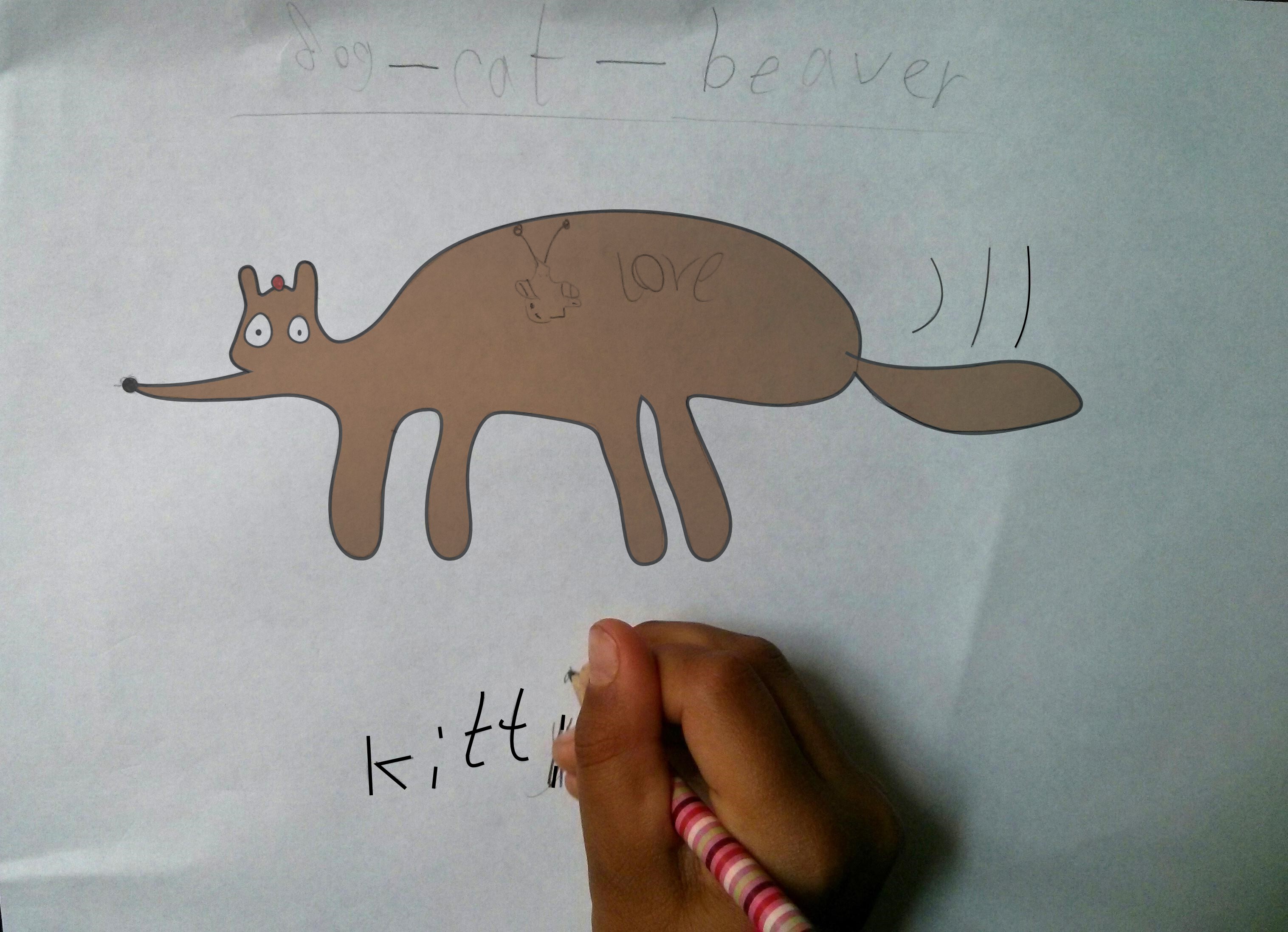 kitti drawing