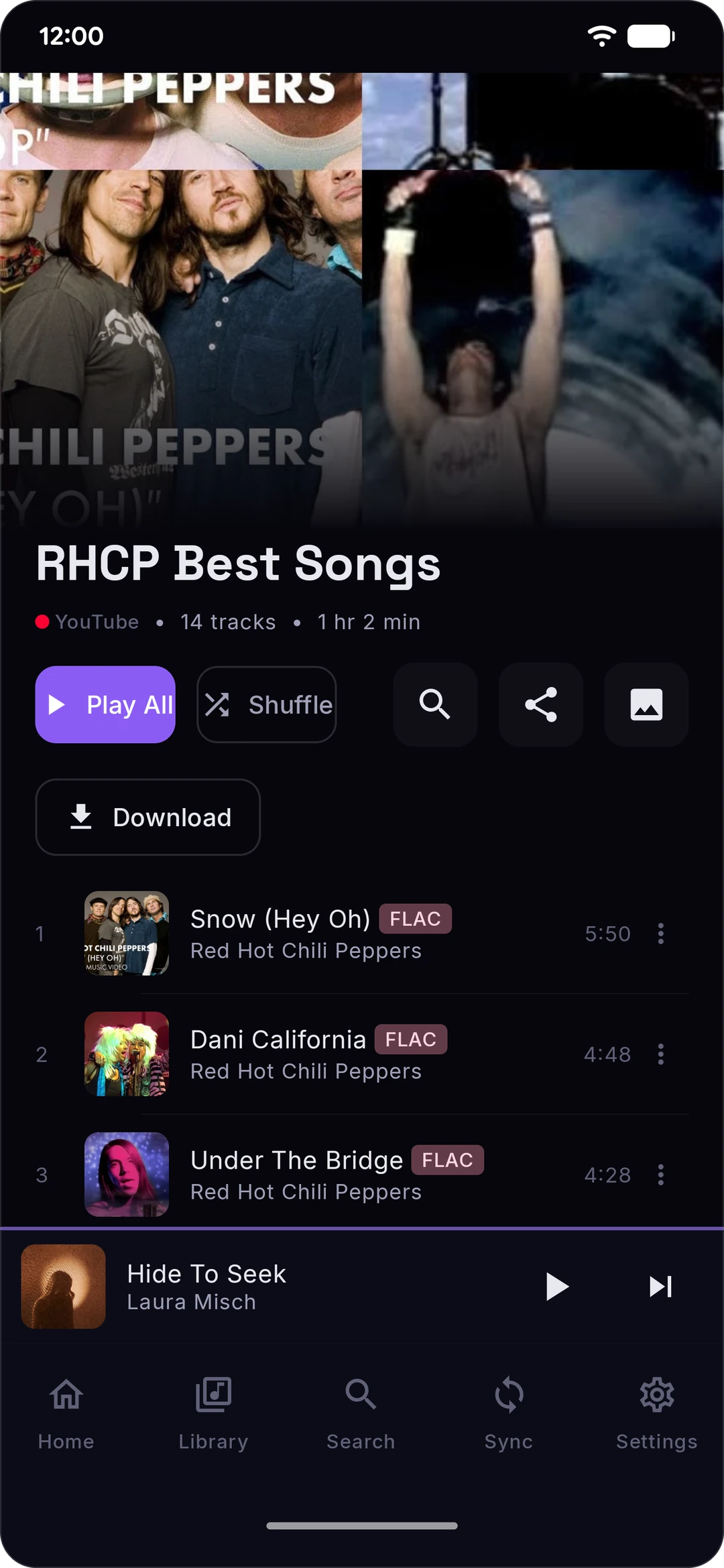A playlist page with its Download button (dark theme)