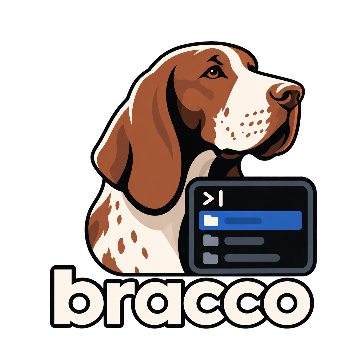 bracco