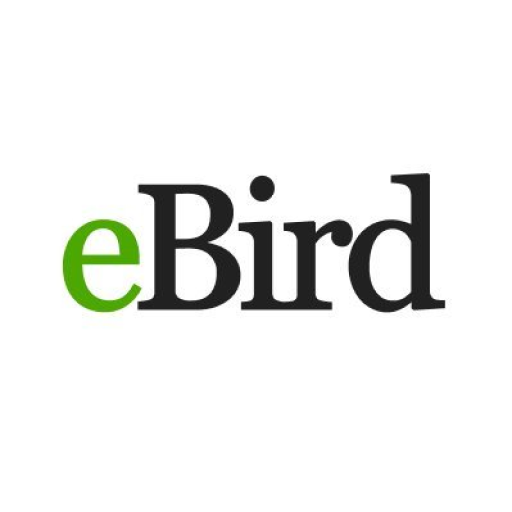 eBird icon