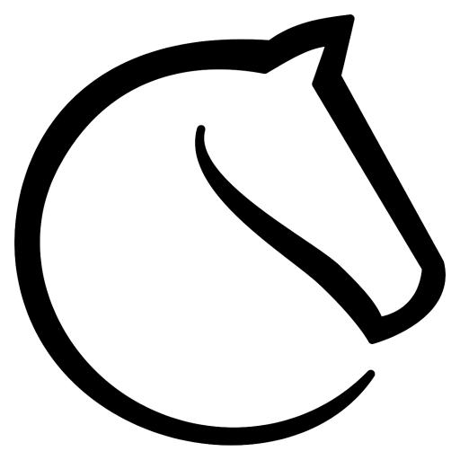 Lichess.org icon