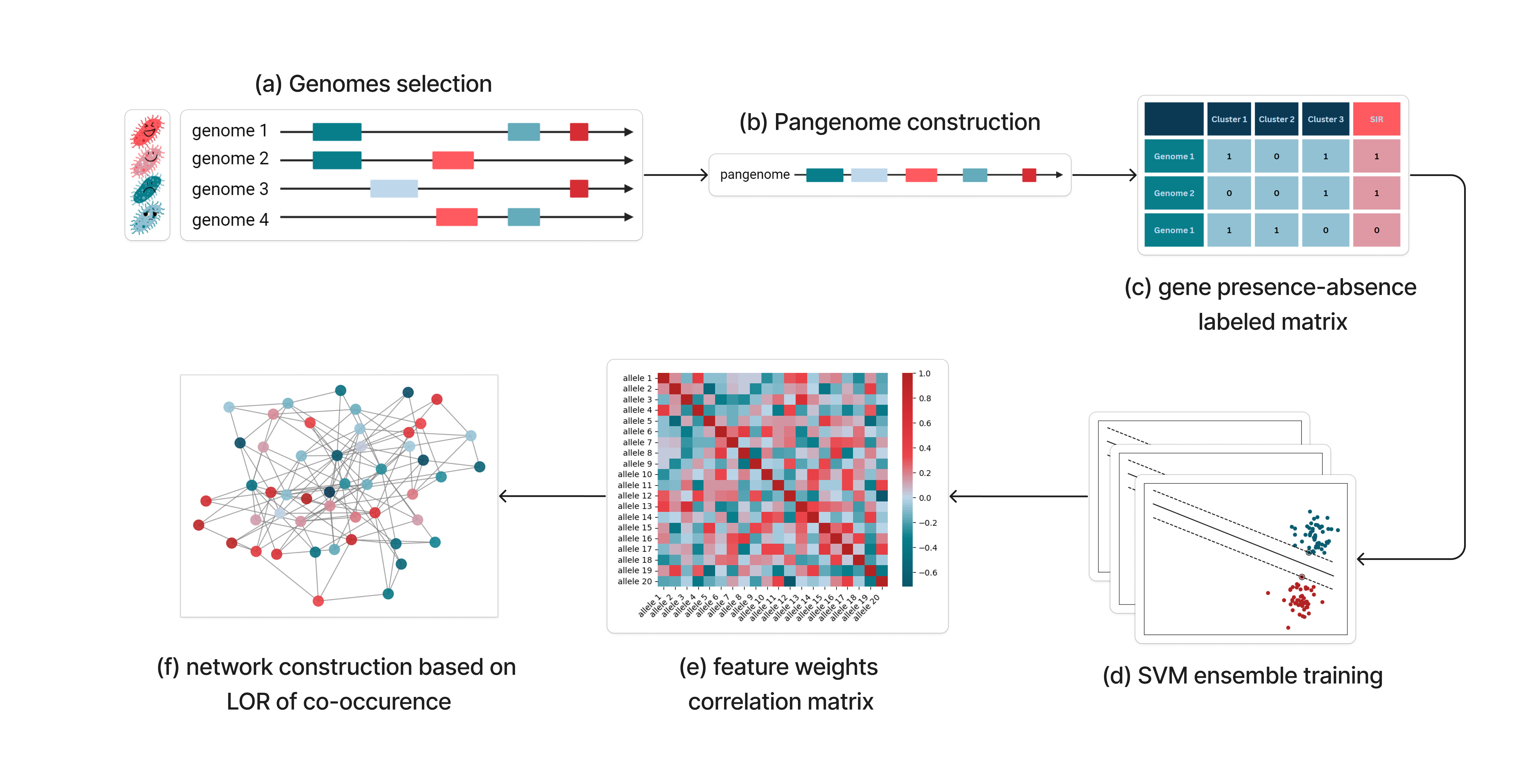 graphical-abstract