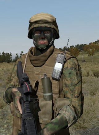 Face02_camo4