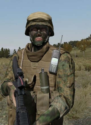 Face02_camo5