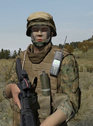 Face24_camo1