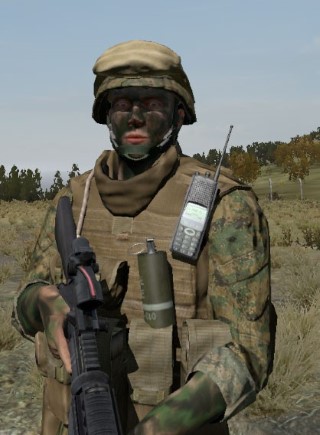 Face24_camo5