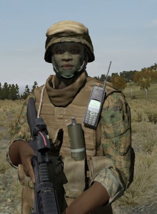 Face29_camo1