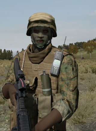 Face34_camo1