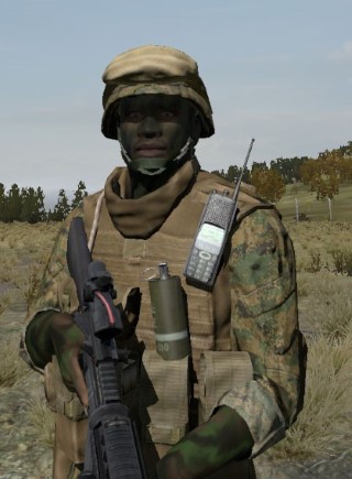Face35_camo2