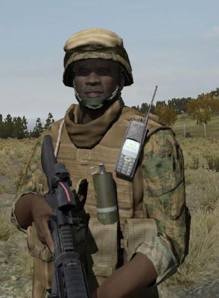 Face36