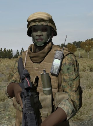 Face36_camo1