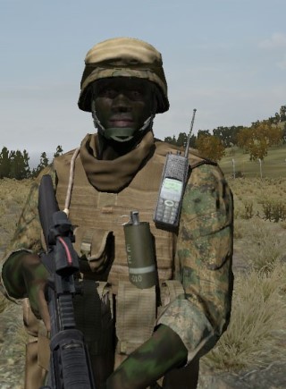 Face36_camo5