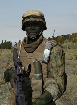 Face38_camo2