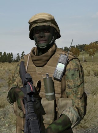Face40_camo2