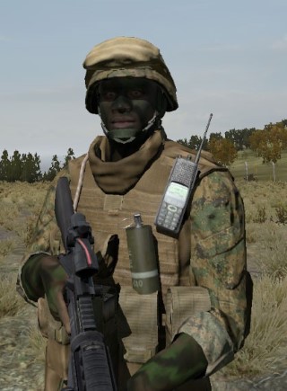 Face40_camo4