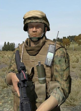 Face73