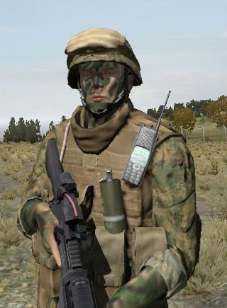 Face96_camo6